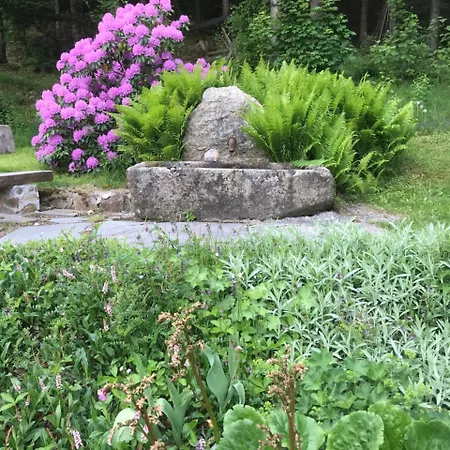 Preissinger Pensión Warmensteinach