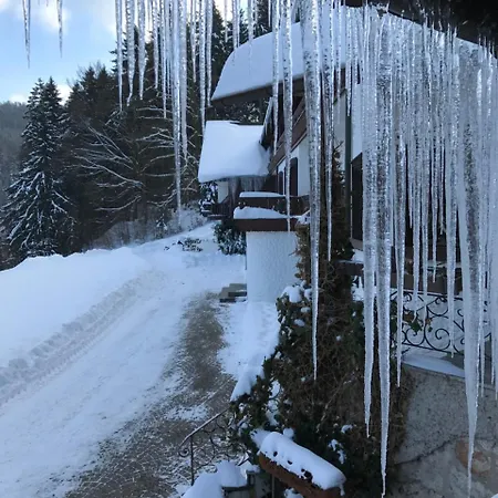 Guest house Preissinger Warmensteinach